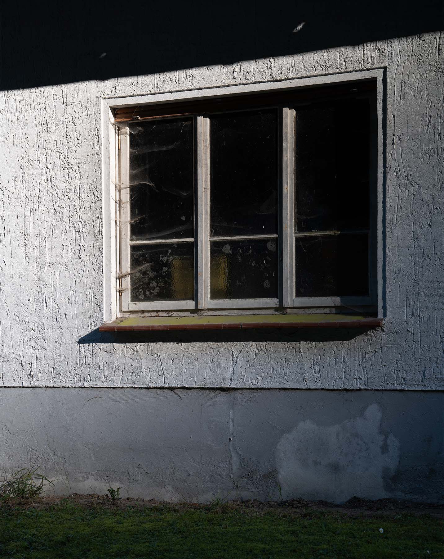 Ein mit Spinnenweben eingerahmtes Fenster im Halbschatten