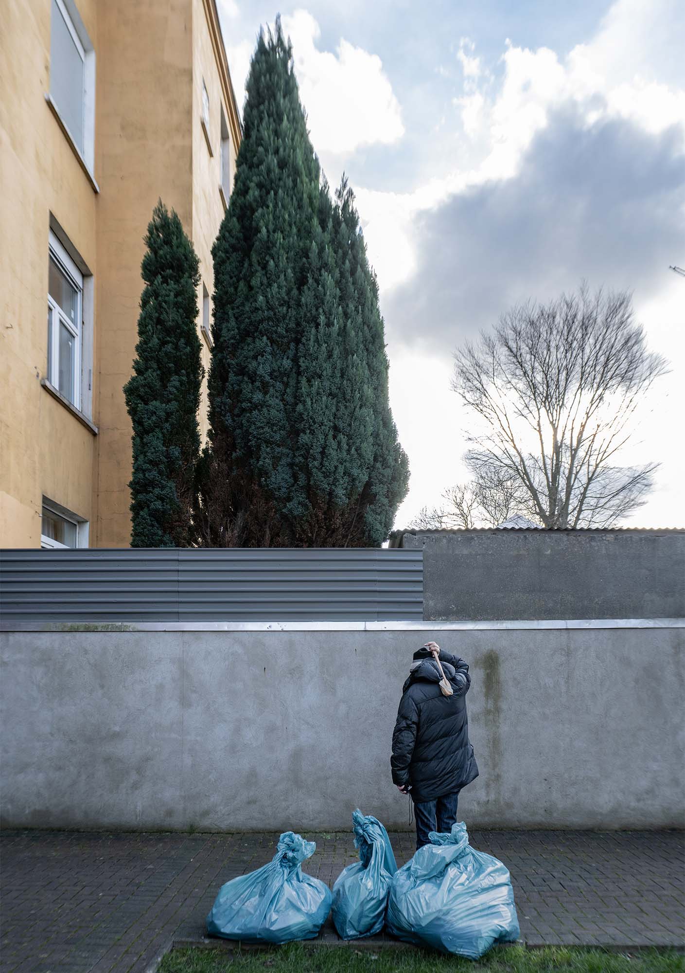 Die Katze steht mit dem Rücken zur Kamera vor vier blauen Müllsäcken. Er kratzt sich mit einer Bürste den Rücken.