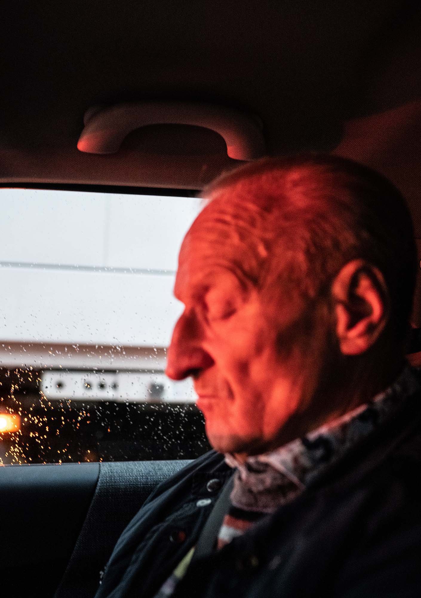 Profil der Katze in einem Auto. Sein Gesicht wird durch ein Bremslicht angeleuchtet. Die Augen sind geschlossen.