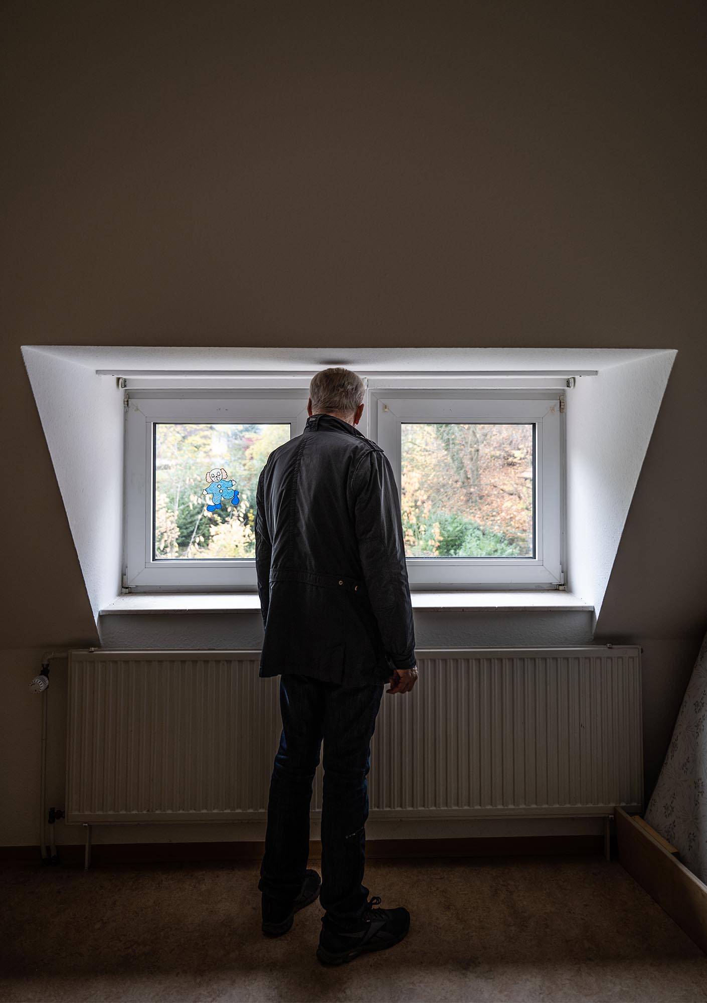 Die Katze schaut aus einem Fenster